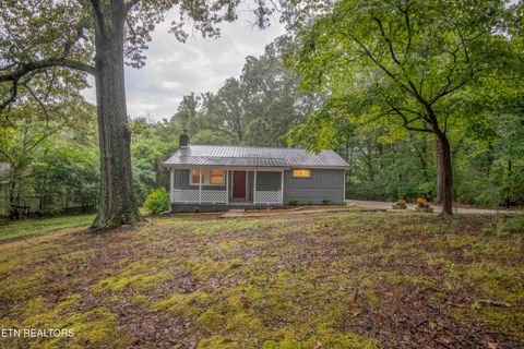Tiny photo for 143 Shubert Street St, Kingston, TN 37763 (MLS # 1324284)