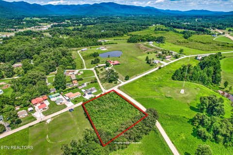 Tiny photo for Potters Falls Rd, Wartburg, TN 37887 (MLS # 1350028)