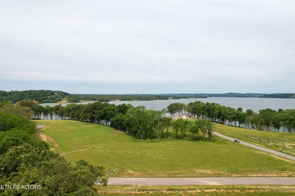 Photo of 49 Sunset Blvd, White Pine, TN 37890 (MLS # 1313087)