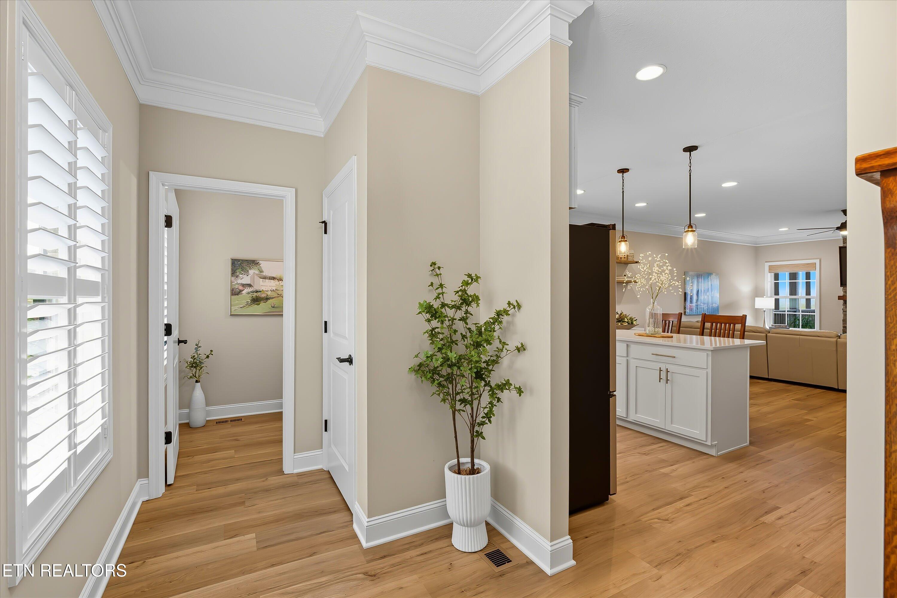 577 Timberline Drive