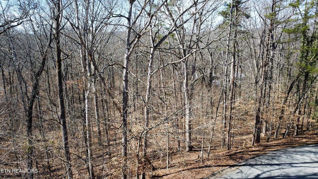 Photo of Havenwood Drive, Maryville, TN 37804 (MLS # 1329444)