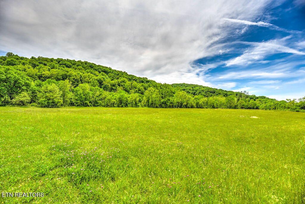 Photo of 2073 Oliver Springs Hwy, Clinton, TN 37716 (MLS # 1338892)