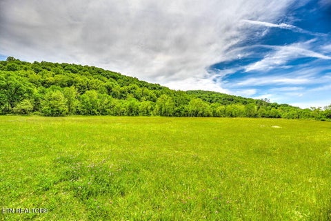 Tiny photo for 2073 Oliver Springs Hwy, Clinton, TN 37716 (MLS # 1338892)