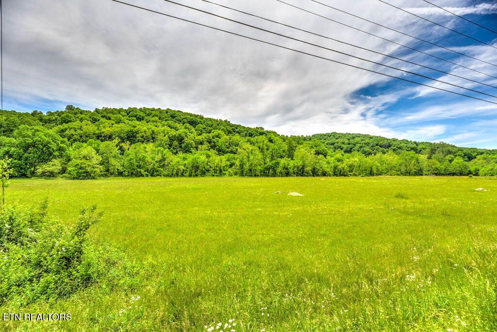 Photo of 2073 Oliver Springs Hwy, Clinton, TN 37716 (MLS # 1338892)