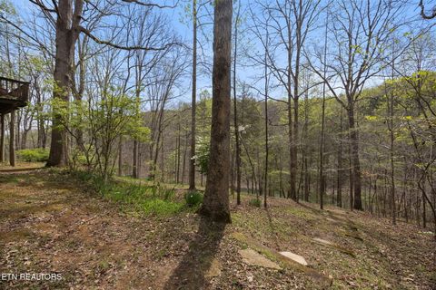Tiny photo for 258 Marina Lane, LaFollette, TN 37766 (MLS # 1338264)