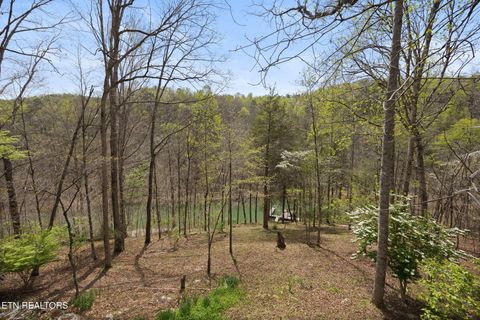 Tiny photo for 258 Marina Lane, LaFollette, TN 37766 (MLS # 1338264)