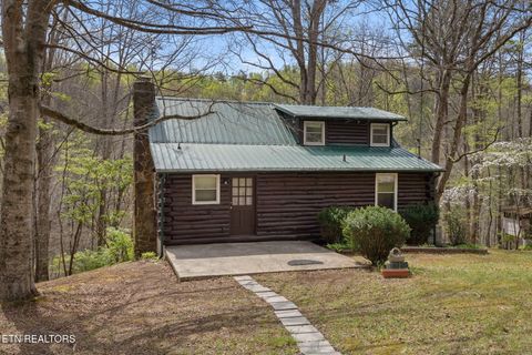 Photo of 258 Marina Lane, LaFollette, TN 37766 (MLS # 1338264)