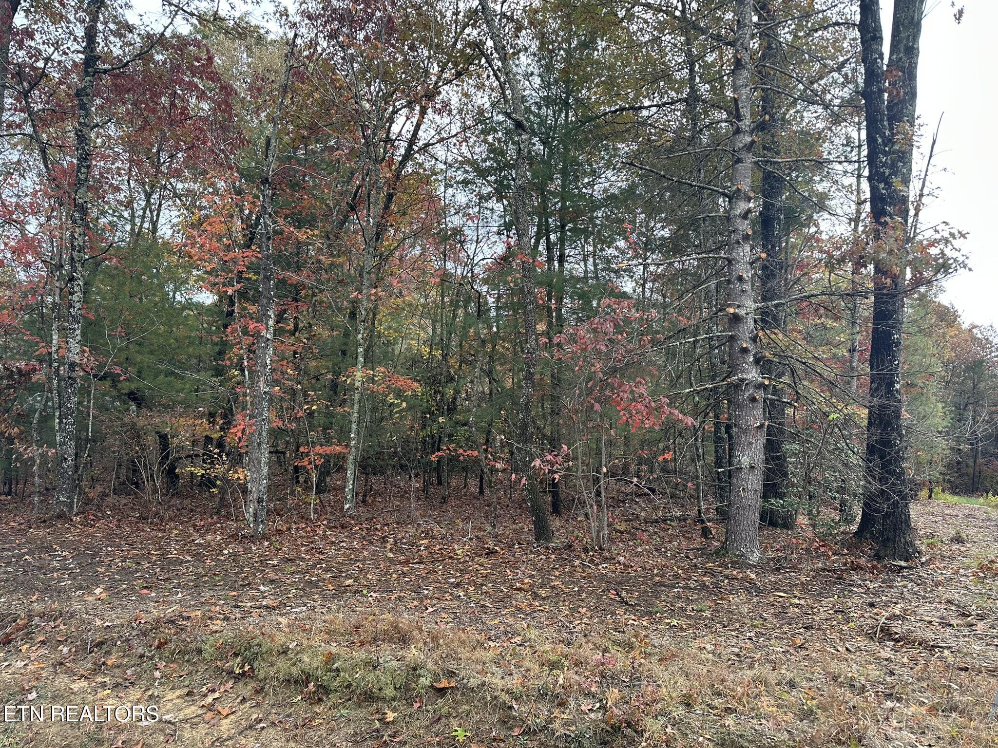 10 Yorkshire Terrace