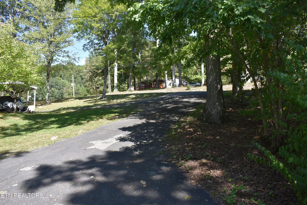 Photo of 456 Cape Norris Rd, New Tazewell, TN 37825 (MLS # 1276420)