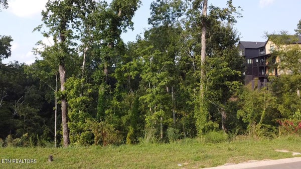 REDMOND WAY, SEVIERVILLE, TN 37876 - Image 755c13a95c3fb944e1cdcd7dfdeaff59/2845853763