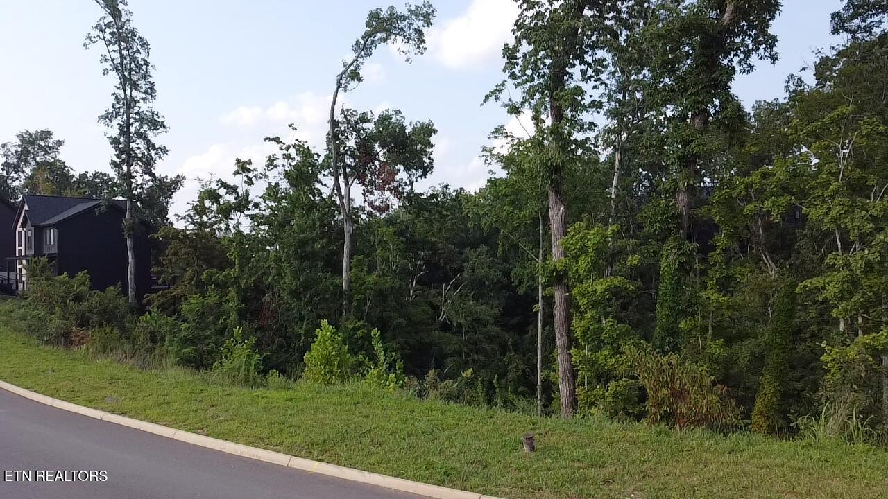 Lot 144 Reedmont Way