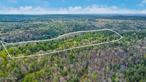 55.91 Acres Old Collins Rd Deer Lodge TN 37726