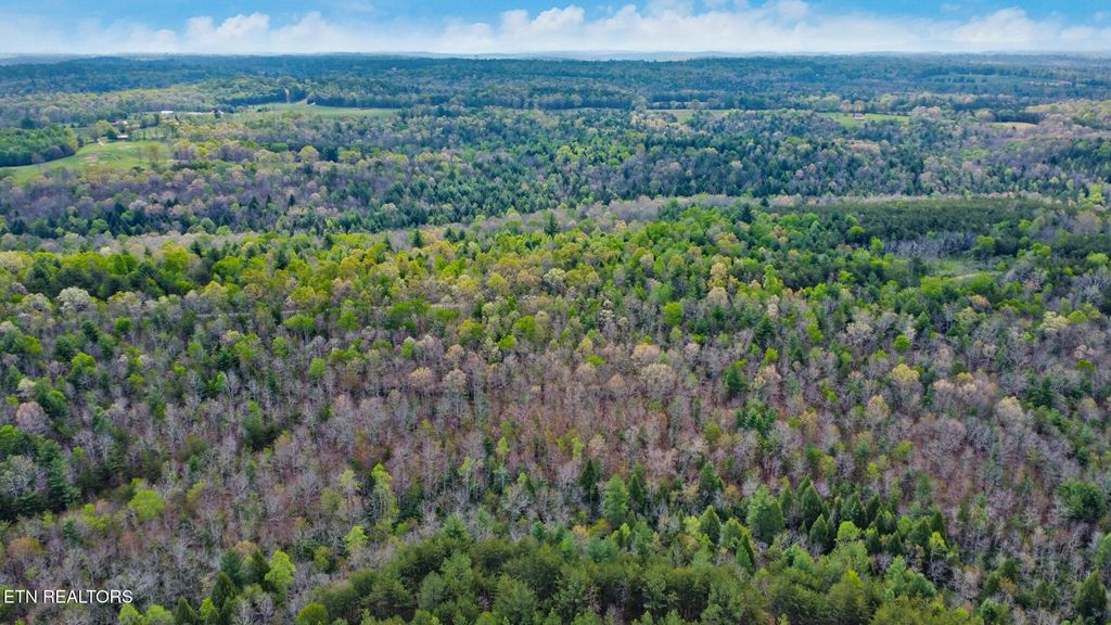 Photo of 5591 Acres Old Collins Rd, Deer Lodge, TN 37726 (MLS # 1299539)