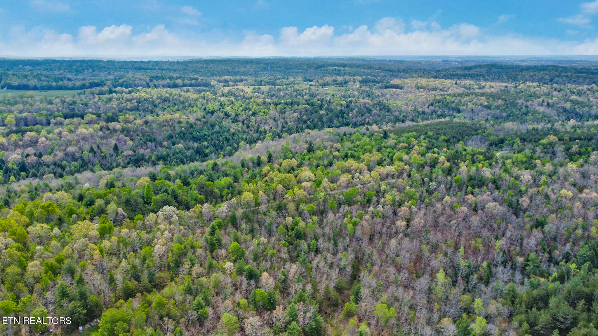 55.91 Acres Old Collins Rd