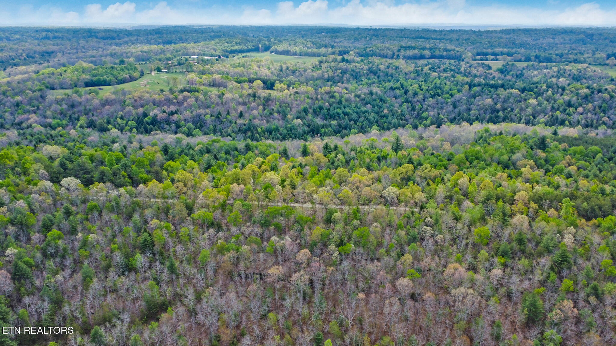 55.91 Acres Old Collins Rd