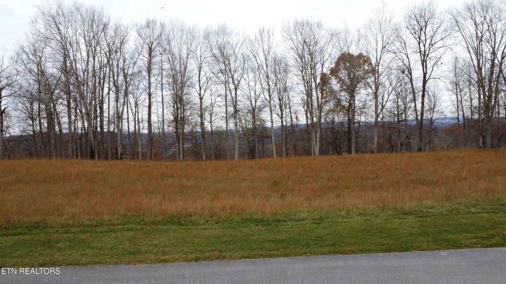 Photo of Deerfield Way, LaFollette, TN 37766 (MLS # 1308162)