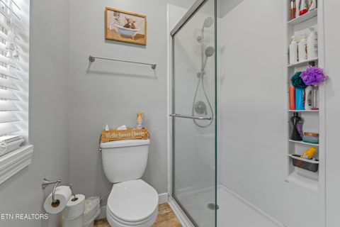 Tiny photo for 104 Latonia Drive, Seymour, TN 37865 (MLS # 1321036)