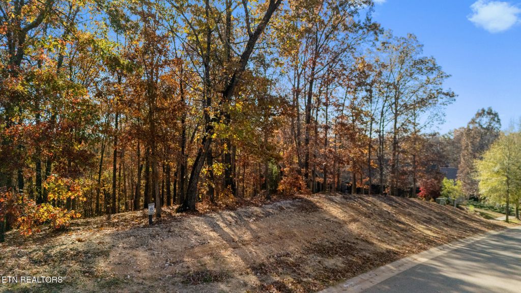 Photo of 2148 Old Dogwood Tr, Loudon, TN 37774 (MLS # 1321934)