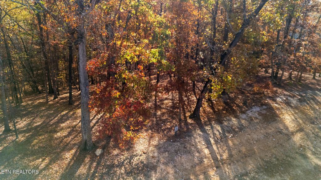 Photo of 2148 Old Dogwood Tr, Loudon, TN 37774 (MLS # 1321934)