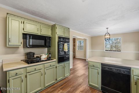 Tiny photo for 219 Cox Rd, Loudon, TN 37774 (MLS # 1329190)