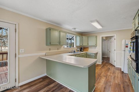 Tiny photo for 219 Cox Rd, Loudon, TN 37774 (MLS # 1329190)