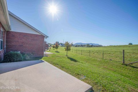 Tiny photo for 343 Angus Xing #12, Corryton, TN 37721 (MLS # 1318630)