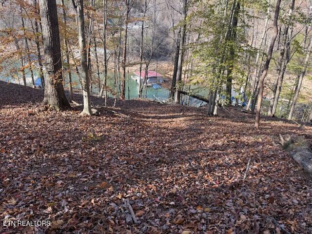 Deer Run Place