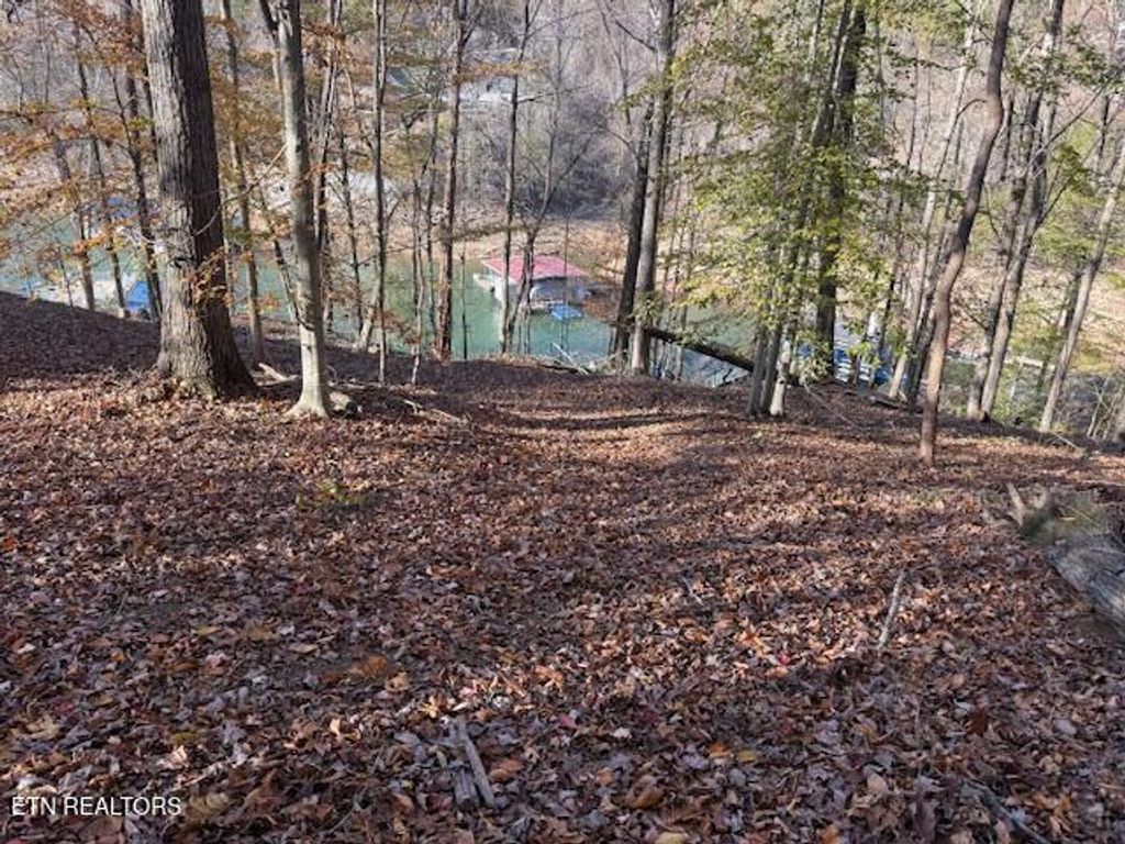Photo of Deer Run Place, LaFollette, TN 37766 (MLS # 1321408)