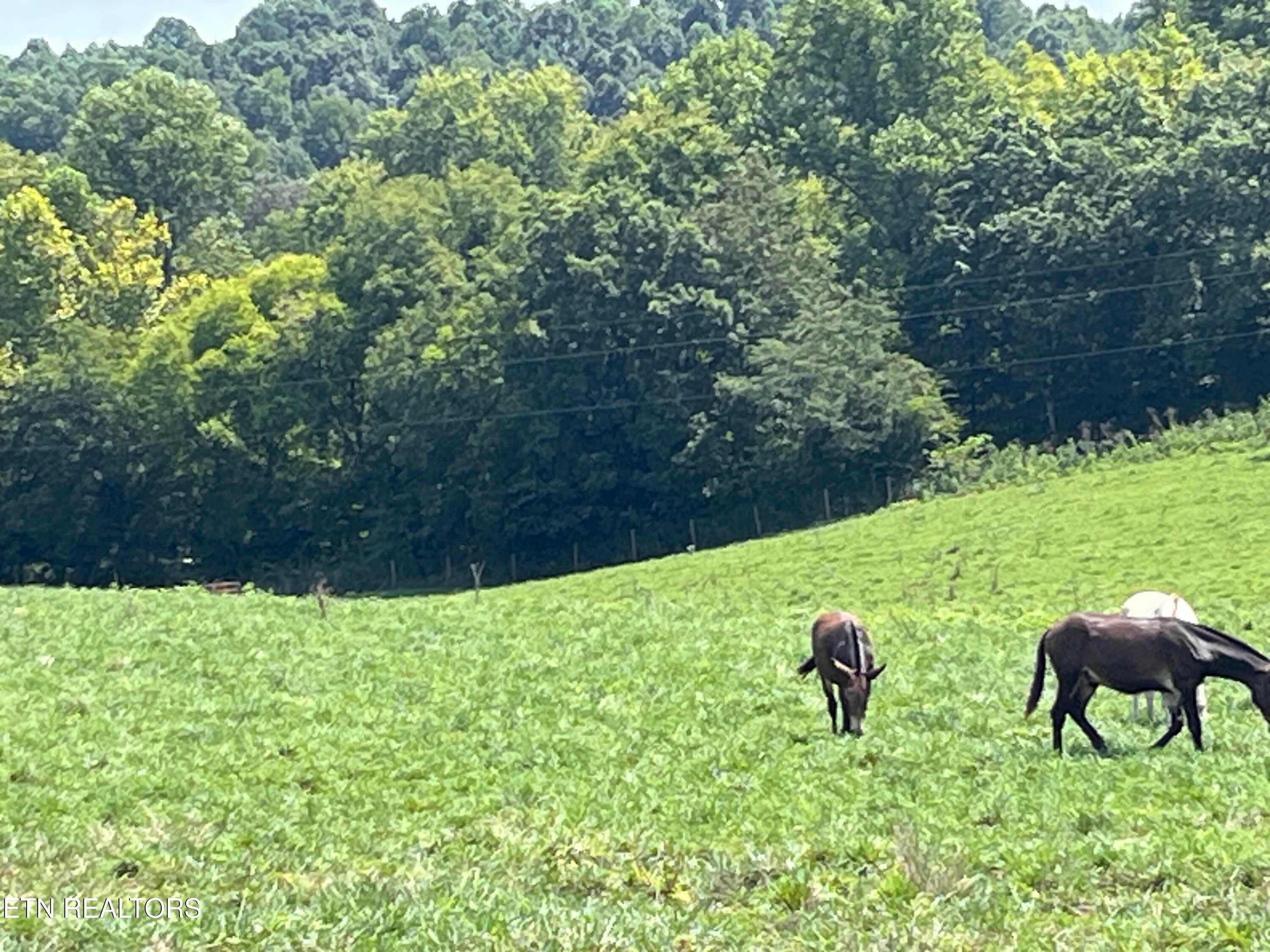 160 County Road 968