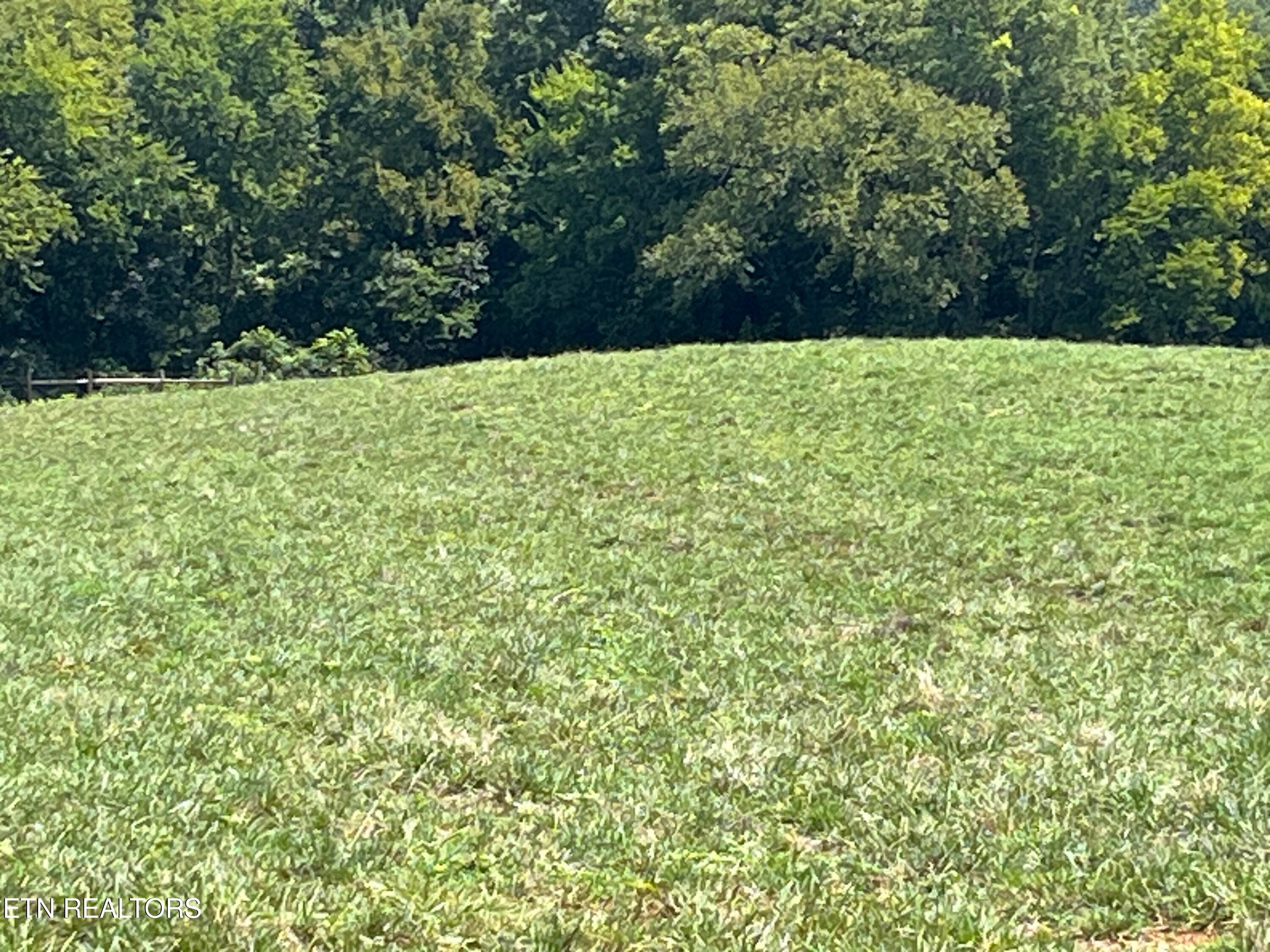 160 County Road 968