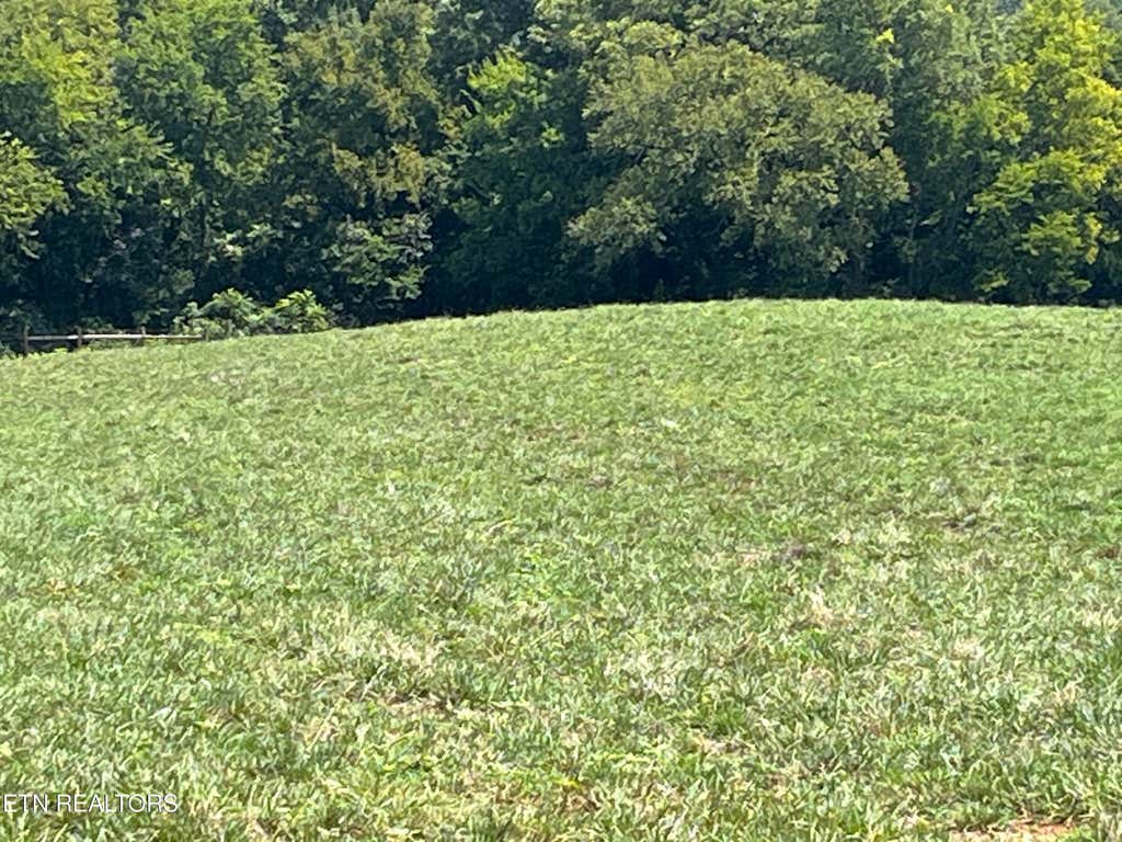 Photo of 160 County Road 968, Delano, TN 37325 (MLS # 1351960)
