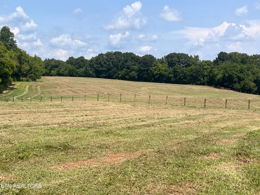 160 COUNTY RD 968, DELANO, TN 37325 - Image 758dcc5c90ccb9084a55db9bcee54c0b/669730197