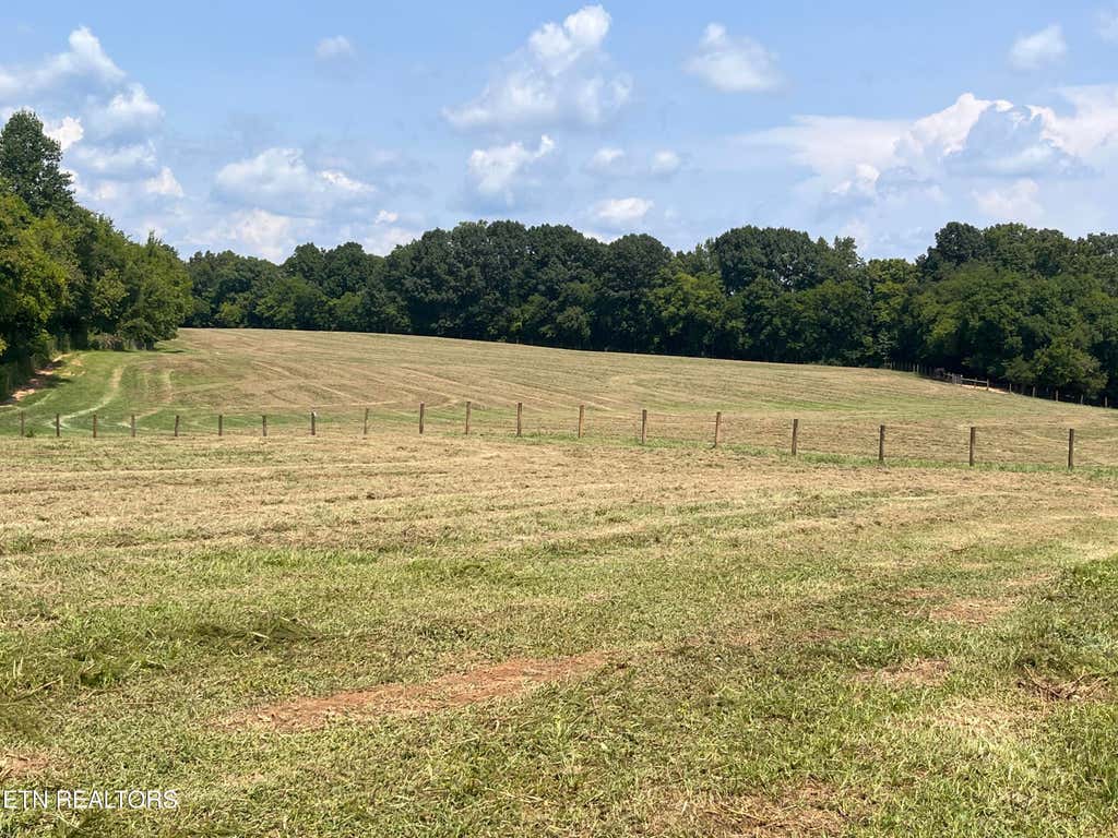 Photo of 160 County Road 968, Delano, TN 37325 (MLS # 1351960)