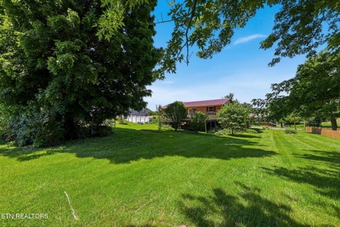 Tiny photo for 638 Marie St, Talbott, TN 37877 (MLS # 1343556)
