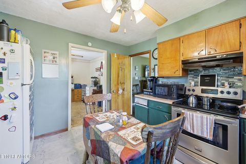 Tiny photo for 638 Marie St, Talbott, TN 37877 (MLS # 1343556)