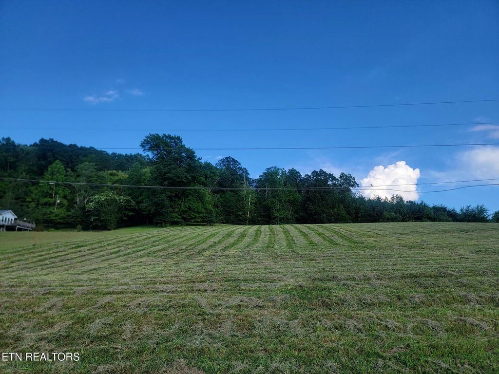 Photo of 33 Hinch St, Spring City, TN 37381 (MLS # 1311007)