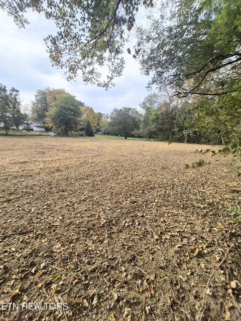 Tiny photo for 125 E Athens St #1, Englewood, TN 37329 (MLS # 1360289)
