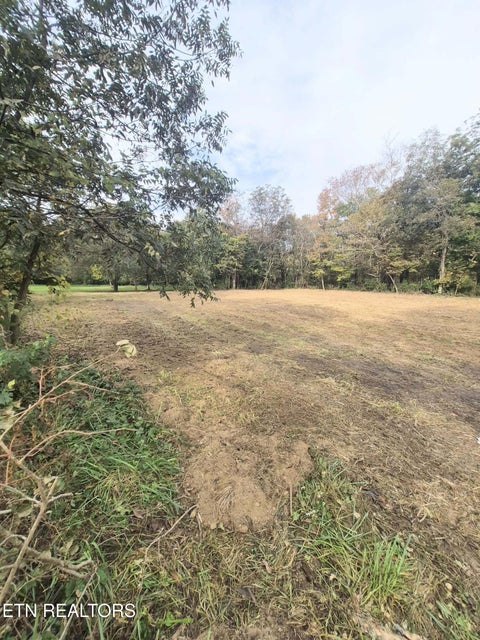 Tiny photo for 125 E Athens St #1, Englewood, TN 37329 (MLS # 1360289)
