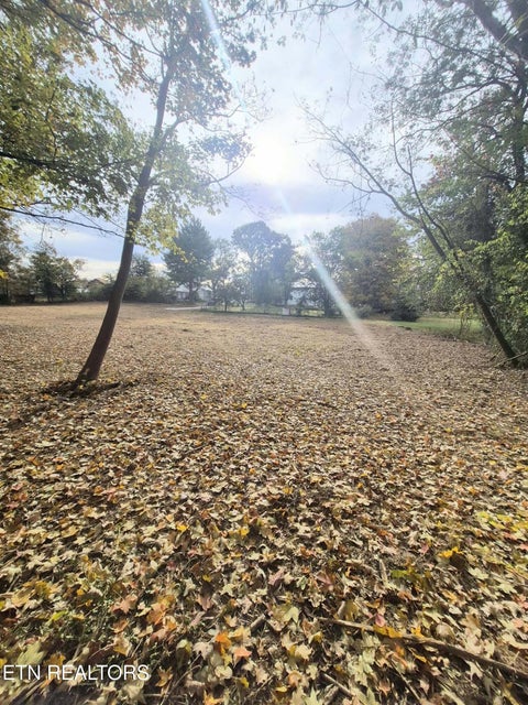 Tiny photo for 125 E Athens St #1, Englewood, TN 37329 (MLS # 1360289)