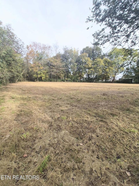 Tiny photo for 125 E Athens St #1, Englewood, TN 37329 (MLS # 1360289)