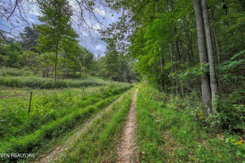 Tiny photo for 303 Tar Town Hollow Lane, LaFollette, TN 37766 (MLS # 1355655)
