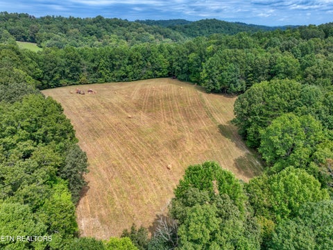 Tiny photo for 303 Tar Town Hollow Lane, LaFollette, TN 37766 (MLS # 1355655)