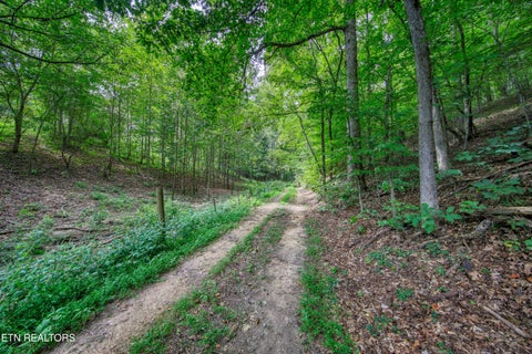 Tiny photo for 303 Tar Town Hollow Lane, LaFollette, TN 37766 (MLS # 1355655)