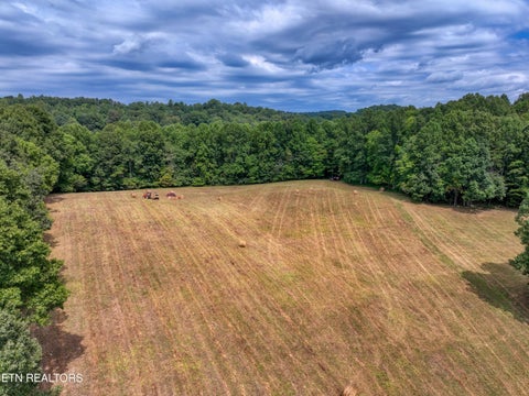 Tiny photo for 303 Tar Town Hollow Lane, LaFollette, TN 37766 (MLS # 1355655)
