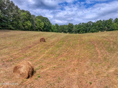 Tiny photo for 303 Tar Town Hollow Lane, LaFollette, TN 37766 (MLS # 1355655)