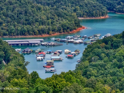 Tiny photo for 303 Tar Town Hollow Lane, LaFollette, TN 37766 (MLS # 1355655)