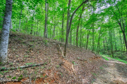 Tiny photo for 303 Tar Town Hollow Lane, LaFollette, TN 37766 (MLS # 1355655)