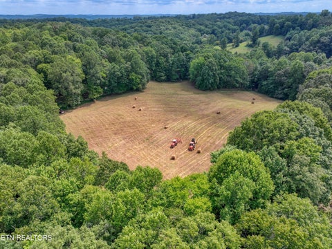 Tiny photo for 303 Tar Town Hollow Lane, LaFollette, TN 37766 (MLS # 1355655)