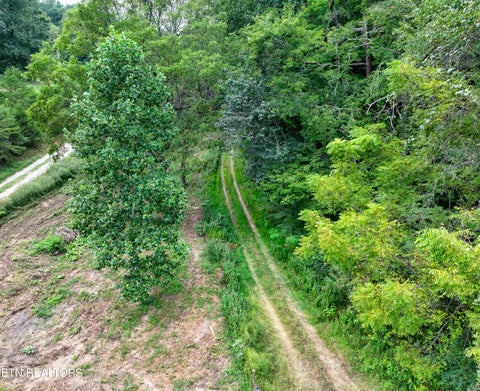 Tiny photo for 303 Tar Town Hollow Lane, LaFollette, TN 37766 (MLS # 1355655)