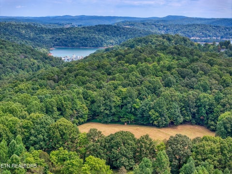 Tiny photo for 303 Tar Town Hollow Lane, LaFollette, TN 37766 (MLS # 1355655)